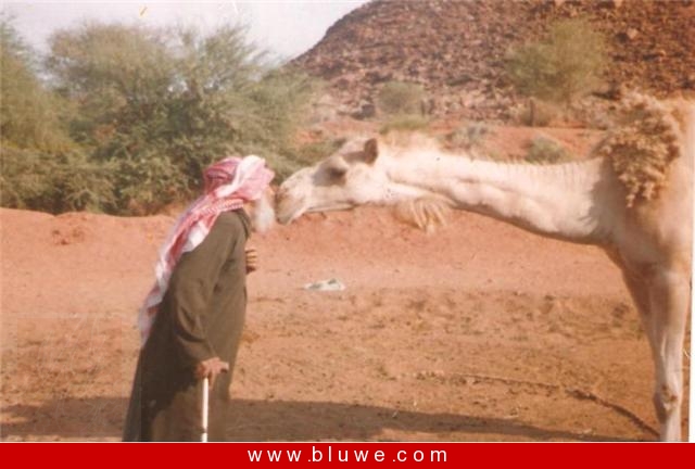 نقره لتكبير أو تصغير الصورة ونقرتين لعرض الصورة في صفحة مستقلة بحجمها الطبيعي