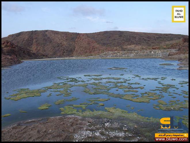 نقره لتكبير أو تصغير الصورة ونقرتين لعرض الصورة في صفحة مستقلة بحجمها الطبيعي