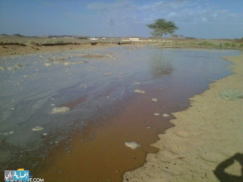 تقرير رئيس مركز البريكه.محمدبن عنادالعرادي